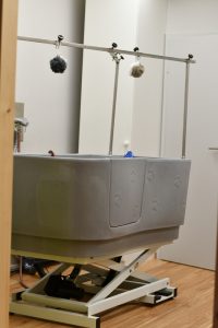 Auch Baden und Föhnen gehört zu den Dienstleistungen im Hundesalon Golden, Haslach i.K, Nähe Offenburg, Elzach