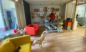 Hund bekommt eine neu Frisur im Hundesalon Golden in Haslach im Kinzigtal, Nähe Offenburg, Wolfach, Biberach