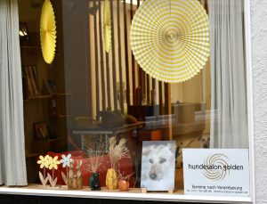 Blck durch das Schaufenster in den Hundesalon Golden, Hauptstrasse 37, Haslach im Kinzigtal, Ortenaukreis, Baden-Württemberg, Deutschland