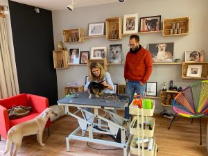 Herrchen schaut bei der Hundepflege zu im Hundesalon Golden, Salon im mittleren Kinzigtal, gut zu erreichen auch aus dem vorderen, hinteren Kinzig - und Elztal