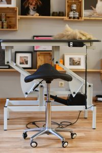 Blick auf Arbeitstisch nach einer Hundefrisur im Hundesalon Golden in Haslach i.K.